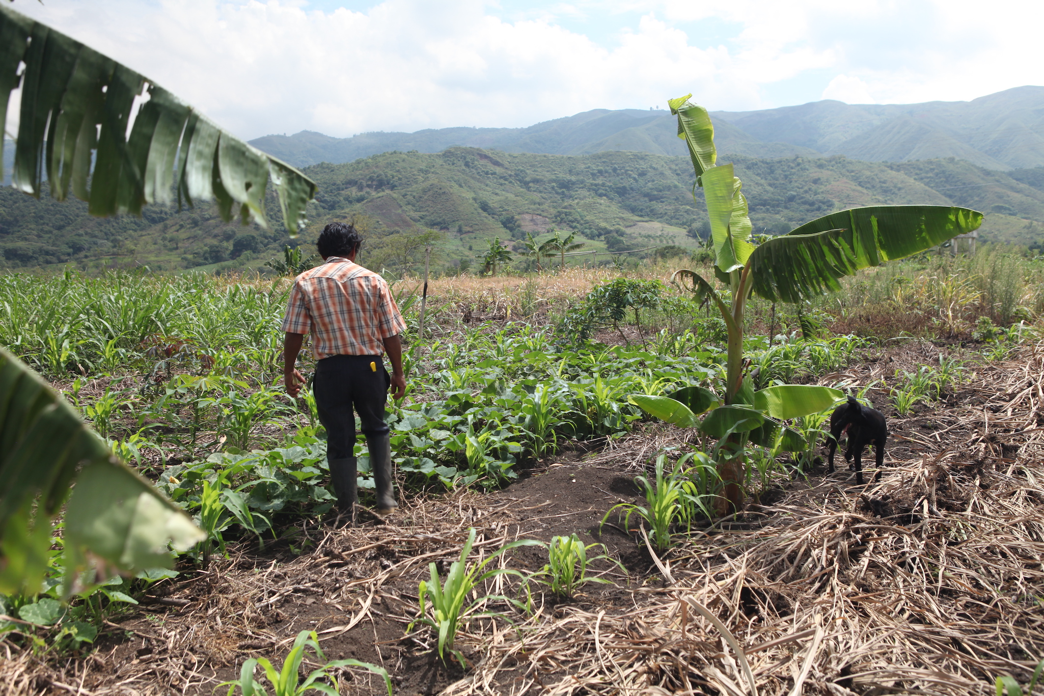 Vi er vinden der ryster dalene